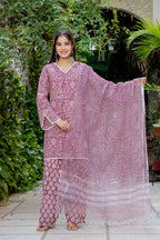 Soft Pink Farsi Suit Set